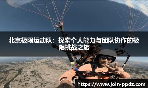 pp电子官网